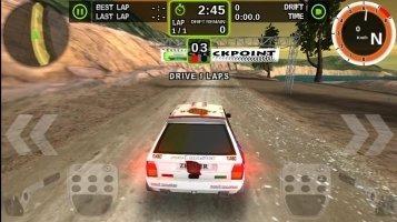 Rally Racer Dirt Скриншот 2