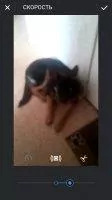 Boomerang from Instagram Скриншот 5