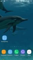 Дельфины живые обои Скриншот 3