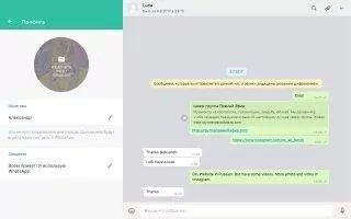 WhatsApp Скриншот 11