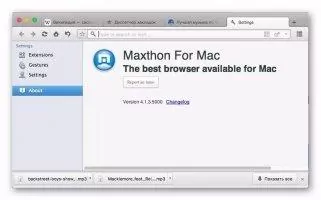 Maxthon Скриншот 8