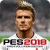 PES 2021 PRO EVOLUTION SOCCER